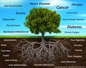 functional-medicine-tree